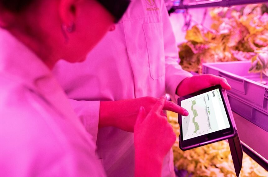maximize growth with digital tools